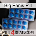 Big Penis Pill viagra2